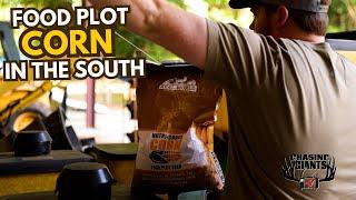 Chasing Giants TV - How Josh Anderson Grows High-Protein Corn to Attract Giant Bucks in the South
