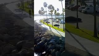 Long Beach California Bike Path #longbeach #longbeachcalifornia #longbeachwaterfront  @drOnEski