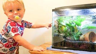 Pet Fish for a Sick Boy