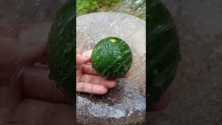 nimbu  mouthwatering#shorts#lemon#pickle