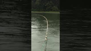 Fraser River gillnetting