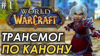 #1 Каноничный трансмог | Трансмогрификация WoW (паладин, друид, маг) | World of Warcaft