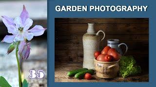 35.Garden Photography. Потрясающий эффект. Световая кисть по новому