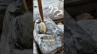 Ternyata ini Fosil Hewan Prasejarah