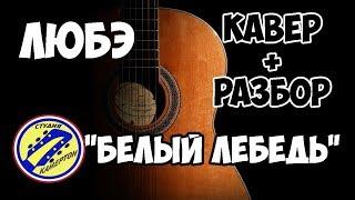 ЛЮБЭ - Белый Лебедь. КАВЕР + РАЗБОР на гитаре