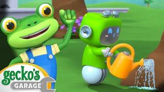 Green Goes Green!｜Gecko's Garage｜Funny Cartoon For Kids｜Learning Videos For Toddlers