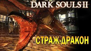 DARK SOULS 2 Цитадель Алдии и Босс Дракон-Страж┣Женское прохождение┫#32