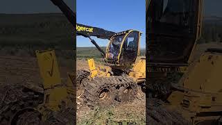Now that's a harvester  #tigercat #tigercat1165 #forestry #forestmachine #logger