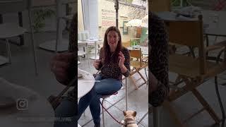 Molti Amici Healdsburg Tour by Realtor Emily Martin of Healdsburg Luxury Living