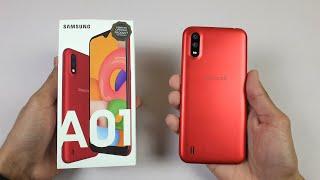 Samsung Galaxy A01 - (BUDGET BEAST!) Unboxing & Quick Review