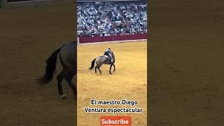 Diego Ventura chitando el cabezal al caballo #ventura2024 #caballos #reels #rejoneo #music #beats