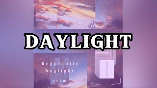 STIM - daylight (Official Lyric Video)