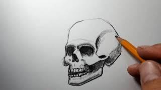 Как нарисовать череп | skull drawing