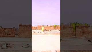 trading #dance #viral #shortsvideo #youtubeshorts #trading #song # dancer aman arya #shortsvideo