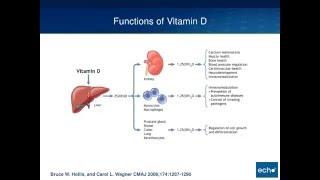 Vitamin D and HIV