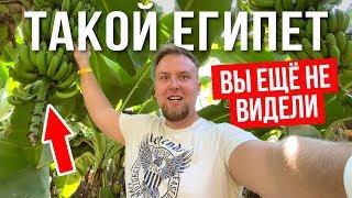 Такой Египет Вы еще не видели! Экскурсия в Луксор. Банановый остров. Отдых в Хургаде 2020