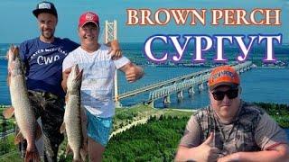 Сургут ХМАО  РЫБАЛКА МЕЧТЫ каждый ЗАБРОС  Крупная щука Экспедиция BROWN PERCH по России.