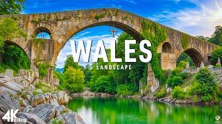 Wales (UK) • Relaxation Film - Peaceful Relaxing Music - Nature 4k Video UltraHD