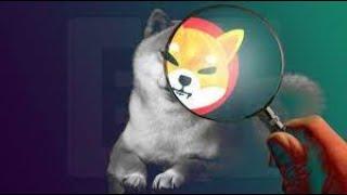 Как майнить Shiba inu на Windows и Mac