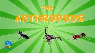 The Arthropods | Educational Video for Kids.