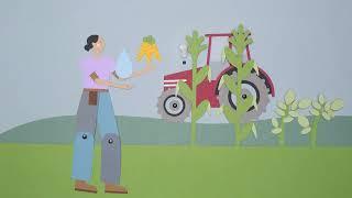 Water Connections: Agricultural Practices Keeping Alberta's Water Clean