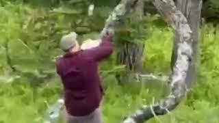 Твёрк, который мы заслужили... Воистину достойный твёрк!