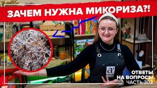 ЧТО ТАКОЕ МИКОРИЗА?! КАК БОРОТЬСЯ СО СЛИЗНЯМИ?! Ответы на САМЫЕ частые вопросы №302