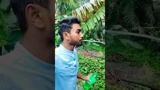 The human body transports water, greening the desert is funny special effects desert greening part-3