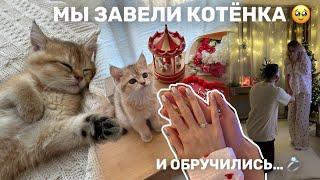 мы завели котенка | наш Новый год и подарки  | уютный влог