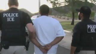 California Democrats fight back against mass deportations