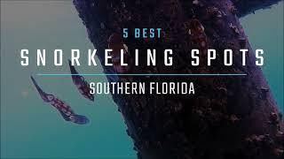 5 Best Places to Go Snorkeling in Southern Florida | Florida Keys - Dry Tortugas NP, Bahia Honda SP+