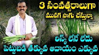 మునగను సాగు చేస్తున్నాం,మార్కెటింగ్ కూడా మేమే చేసుకుంటున్నాం |Munaga cultivation In Telugu| EvusamTv