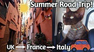 Summer Road Trip With Our Devon Rex Cat