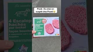 #Prank Du chien congelé 