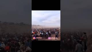BUZKASHI  🫀  #buzkashi #tajikistan #dushanbe #sports #tojikon #uloq #tjk
