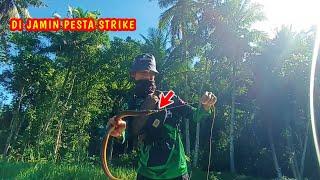 DIJAMIN PESTA STRIKE KALAU MANCING BELUT MONSTER DI SPOT EMPAN DAN SUNGAI SEPERTI INI