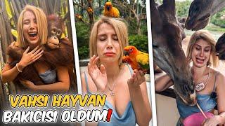 VAHŞİ HAYVAN BAKICISI OLDUM ! ( Saldırdılar ! ) - Tayland 9 -