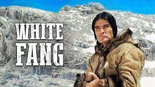 White Fang | FAMILY WESTERN | Spaghetti | Franco Nero | Adventure