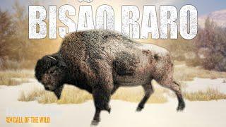 Encontrei um BISÃO DA FLORESTA raro!!! The hunter call of the wild mapa novo