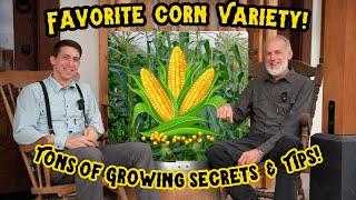 "World Record Gardener Reveals Favorite Sweet Corn! Tips & Tricks for Growing the Best Organic Corn"