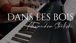 Dans les bois - Alexandra Stréliski (Piano Cover)