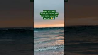 Watch the Sun Set  #beach