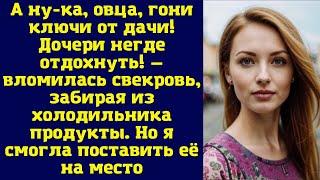 А ну-ка, овца, гони ключи от дачи! Дочери негде отдохнуть! — вломилась свекровь