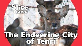 Tenri, Japan: Where City Life and Nature Coexist in Perfect Balance | SLICE EARTH