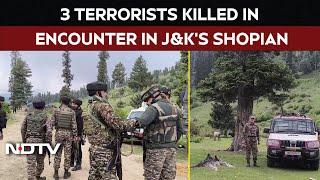 Jammu Kashmir News | 3 Terrorists Killed In Gunfight Between Security Forces & Terrorists In Shopian