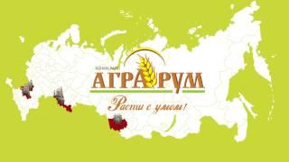 Аграрум внедряет бинарные посевы в системе NO-TILL