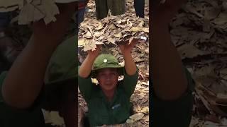 Vietnam die Tunnel im Vietnamkrieg von 1960 bis 1975, Die Tunnel von Củ Chi