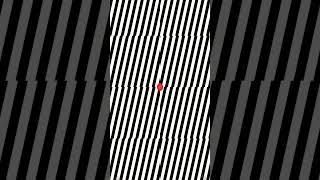 FOCUS ON THE RED DOT ️ OPTICAL ILLUSION! #shorts #opticalillusions #trippyvideos #illusions