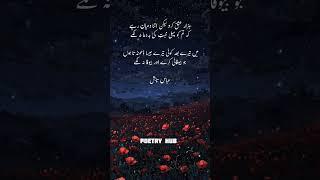 Best Urdu Poetry |Poetry Hub #poetry #shayari #urdupoetry #quotes #heartfeltpoem