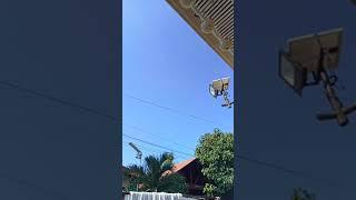 lindsaylim83 movie